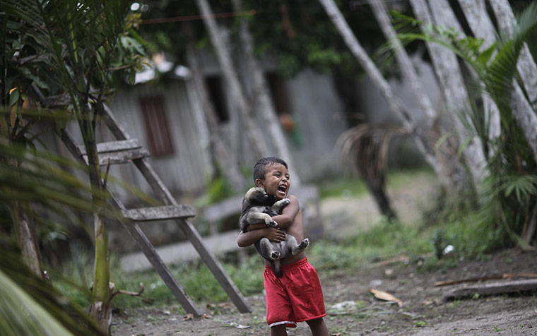 From the agencies: A boy holds his dog in Santa Isabel do Rio Negro