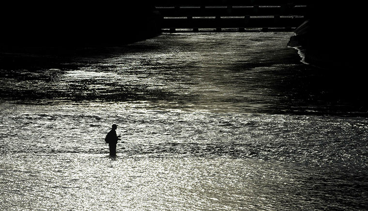 24 hours: A fly fisherman stands in the water of the river Isar 