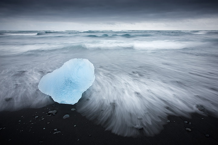 GDT:  European Wildlife Photographer of the Year 2010