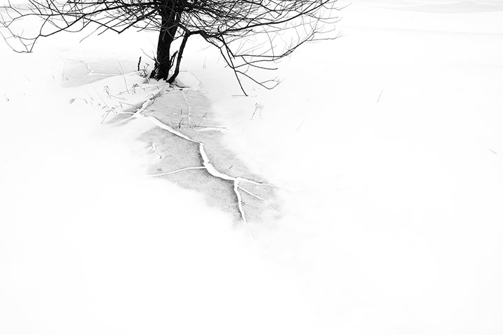 GDT: 2010 European Wildlife Photographer