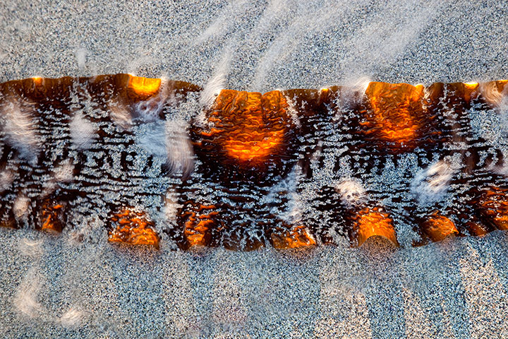 GDT: European Wildlife Photographer of the Year 2010