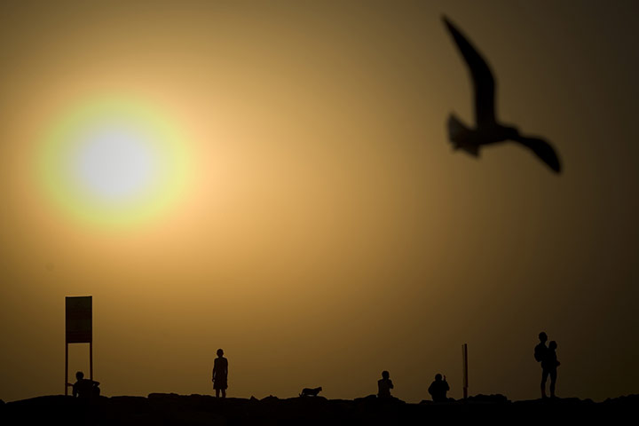 24 hours in pictures: hot weather in Israel