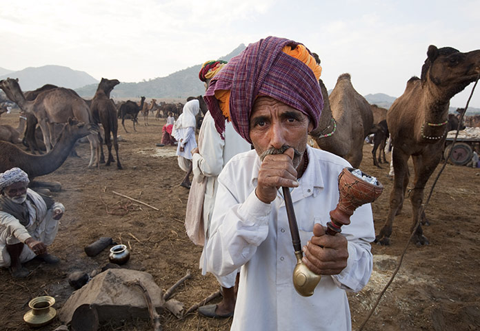 Pushkar camel fair: A fair-goer smokes a pipe