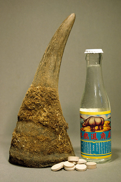 rhinoceros : Rhinoceros horn, pills and drink made from the same