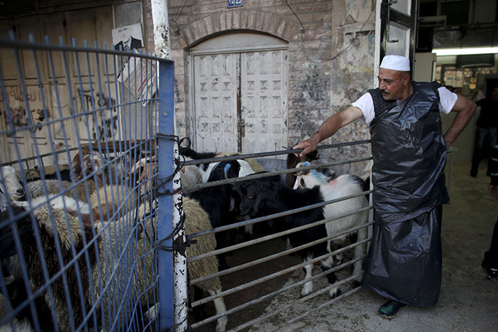 Eid al-Adha: A Palestinian butcher stands by a pen of sheep