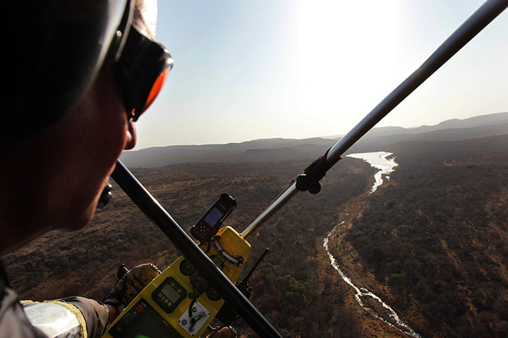 Rhinoceros: Anti-Poaching Forces Established to Combat Rhino Poaching in South Africa