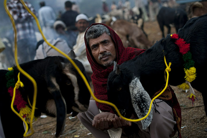 Eid al-Adha: An Indian Muslim feeds a sheep for sale