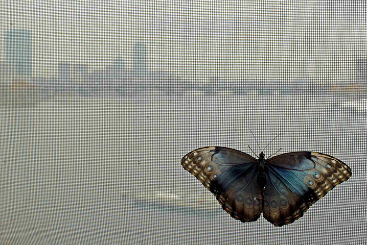 24 hours in pictures: Museum of Science in Boston