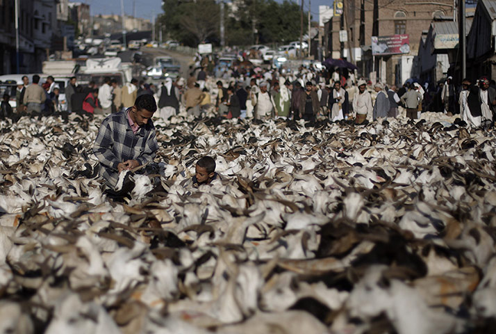 Eid al-Adha: A Yemeni boy helps a customer to pick a goat 