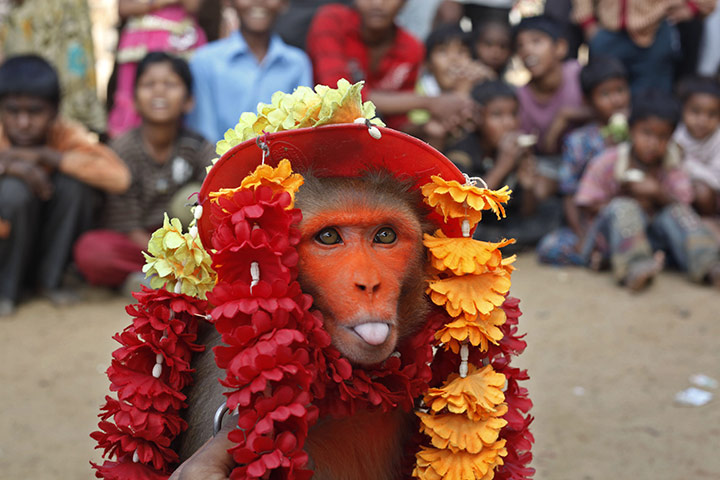 24 Hours in Pictures: 24 Hours in Pictures