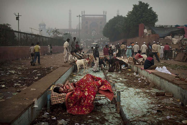 24 Hours in Pictures: 24 Hours in Pictures