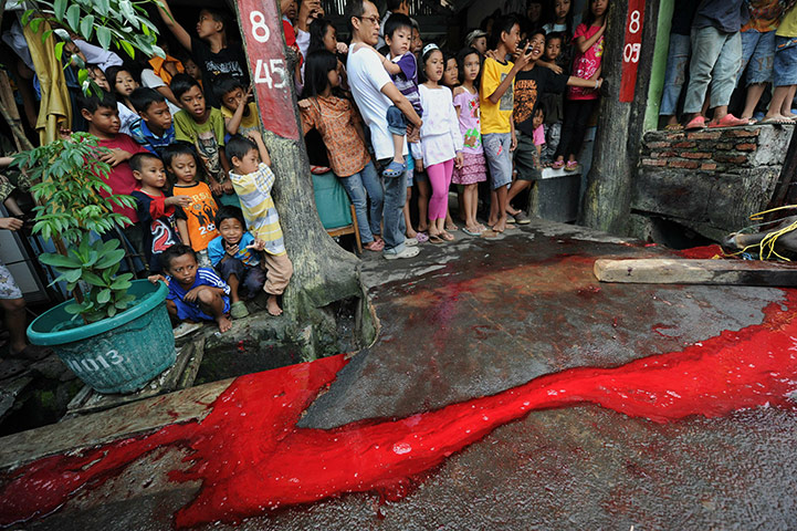 Eid al-Adha: Blood flows down the street while children watch