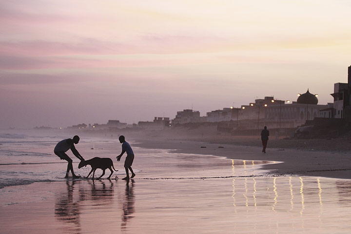 Eid al-Adha: Boys coax a ram into the ocean at sunrise to wash it 