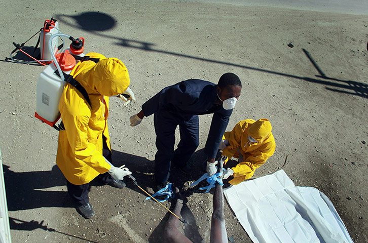 Haiti Cholera Devastation: Haiti Battles With Cholera Outbreak, As Death Toll Reaches 1,000