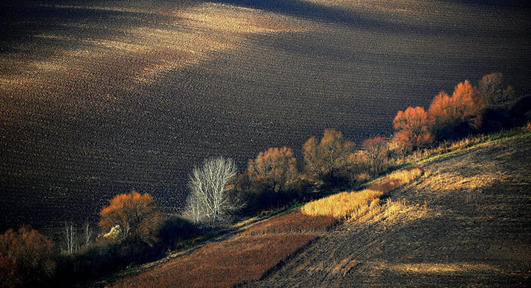 Week in wildlife: NEW : A colourful autumn landscape of agricultural fields