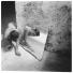Francesca Woodman: Self-deceit #1