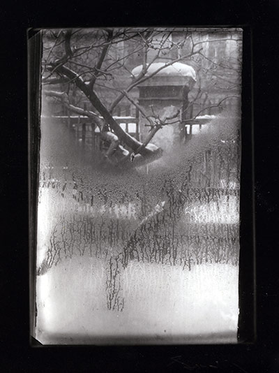 Paris Photo: Paris Photo