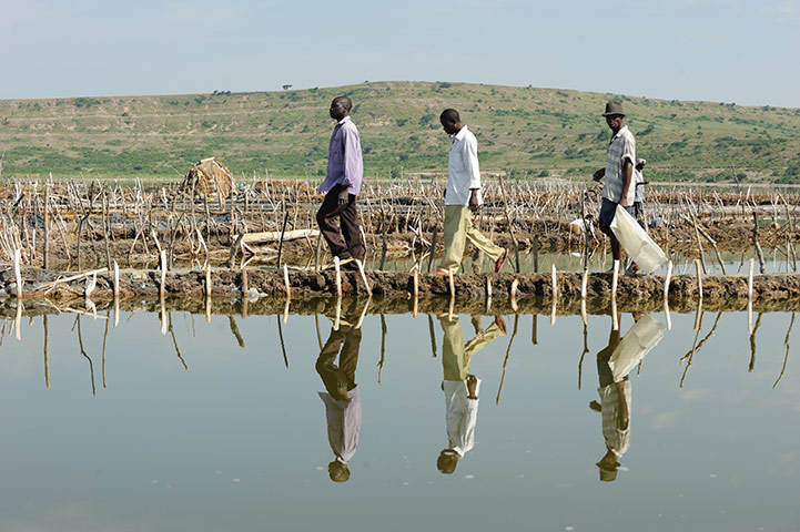 Lake Katwe: Katwe Salt Pan, Oxfam, Rwenzori, Uganda