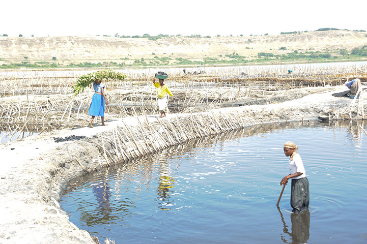 Lake Katwe: Katwe Salt Pan, Oxfam, Rwenzori, Uganda