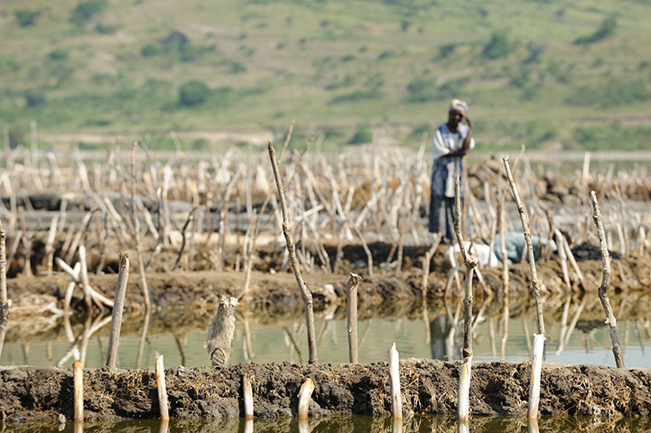 Lake Katwe: Katwe Salt Pan, Oxfam, Rwenzori, Uganda