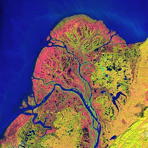 Landsat images: Landsat images courtesy of  USGS/NASA