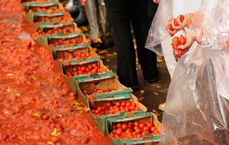 Tomato Fight: MTV Giant Tomato Fight