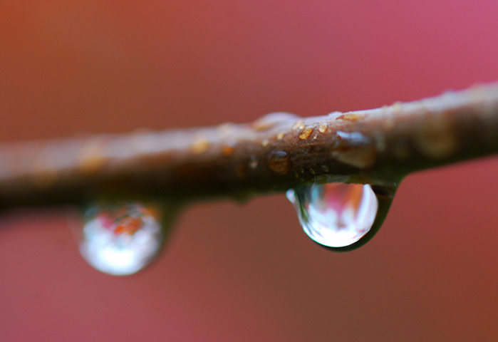 Jill Henry camera club: Jill Henry autumn assignment camera club