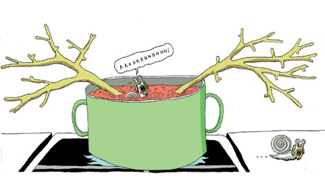 noma rene redzepi digested read john crace snails