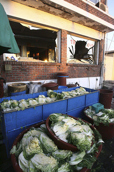 Yeonpyeong island : Chinese cabbages in front of a destroyed house