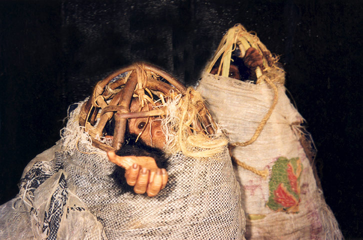 Hope 4 Apes: key threats