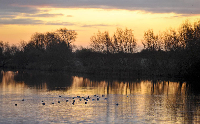 Snow: Winter weather Nov 25th