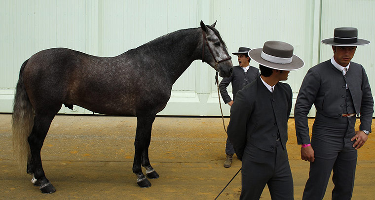 24 hours: Seville, Spain: Andalusian horsemen wait with a horse before competing 