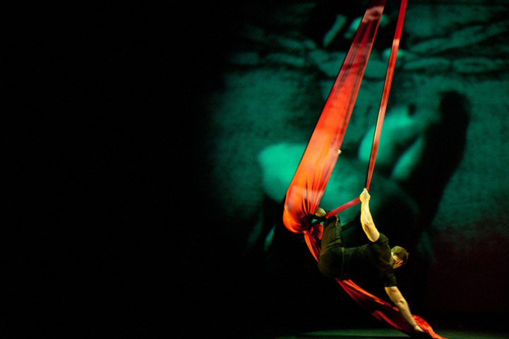 Dadafest 2010: Dadafest 2010