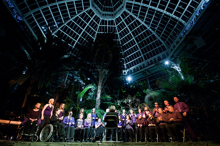 Dadafest 2010: Dadafest 2010