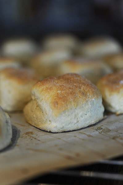 Guardian Camera Club: Food Photography: the new Guardian Camera Club assignment