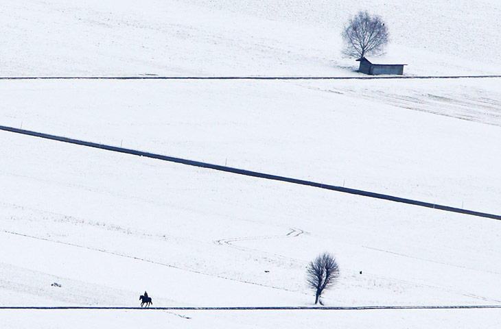 24 hours in pictures: A horseman rides a horse between snow covered fields in Muehlethurnen