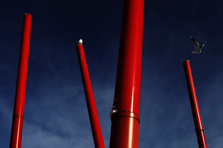 24 hours in picrtures: A seagull flies from a pole by the docks in Dublin