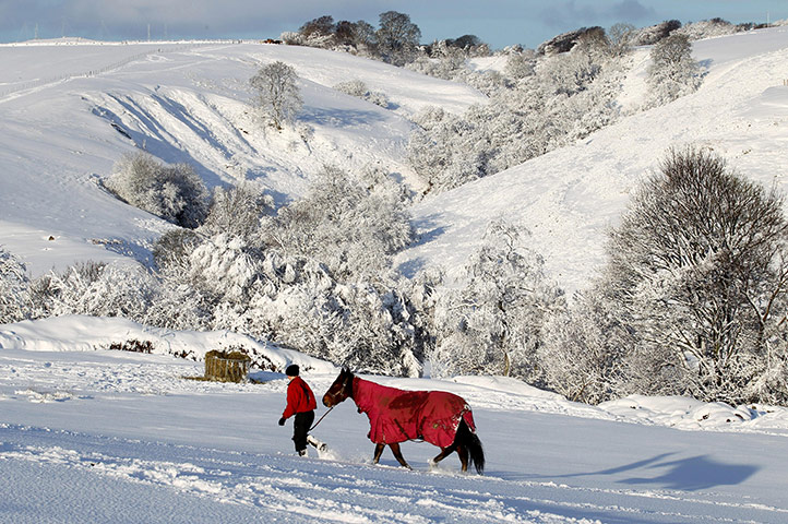 Snow and freezing hits uk: Stable hand Chrissie Busby moves horses at Riverside Livery near  Denny