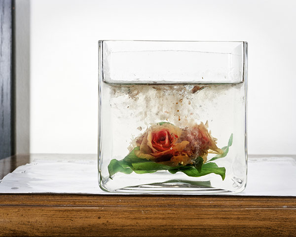 Edmund Clark: Edmund Clark