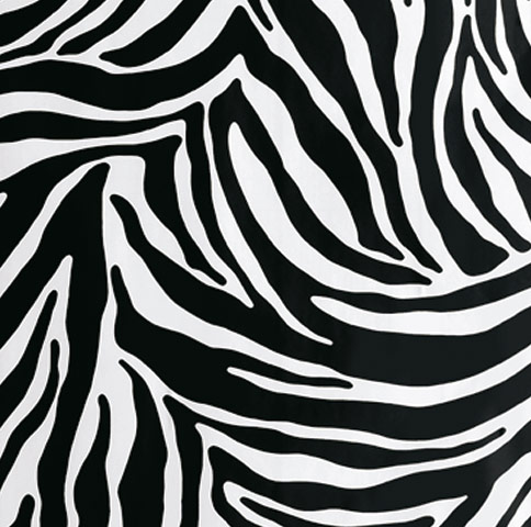 Sticky vinyl: Sticky vinyl: Zebra