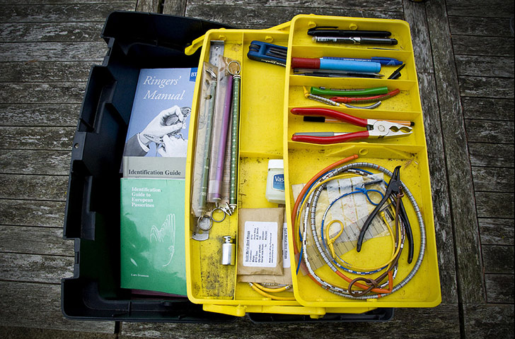 Guardian Camera Club: Stuart Whyte participates in the workplace photography monthly assignment