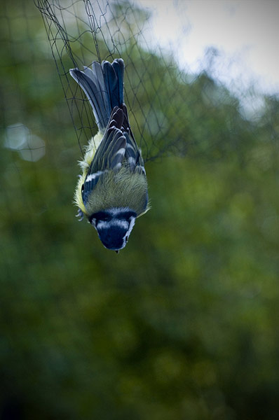 Guardian Camera Club: Stuart Whyte participates in the workplace photography monthly assignment