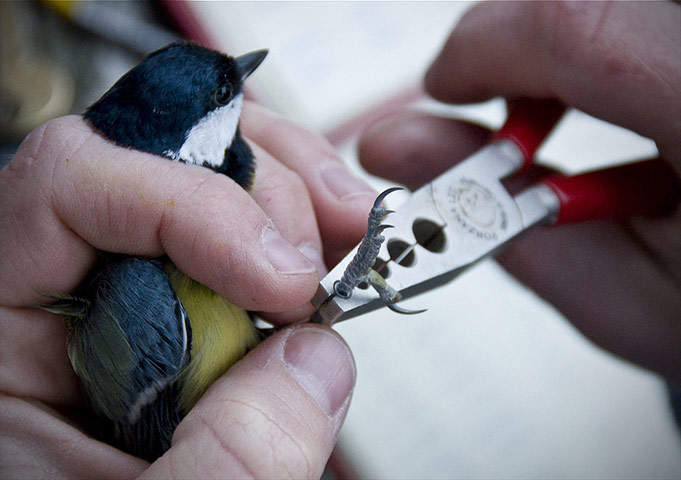 Guardian Camera Club: Stuart Whyte participates in the workplace photography monthly assignment