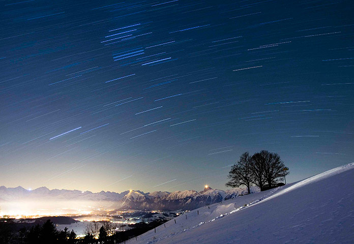24 hours in pictures: A tree in front of the snow covered Bernese alps