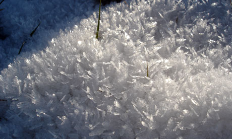  - Ice-crystals-in-Wales-on--007