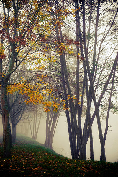 Camera Club: Clairspics participates in the Autumn Colour Assignment