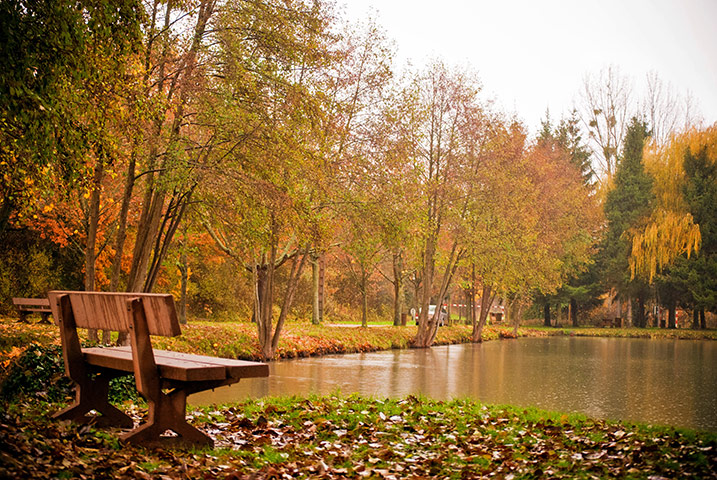 Camera Club: Clairspics participates in the Autumn Colour Assignment