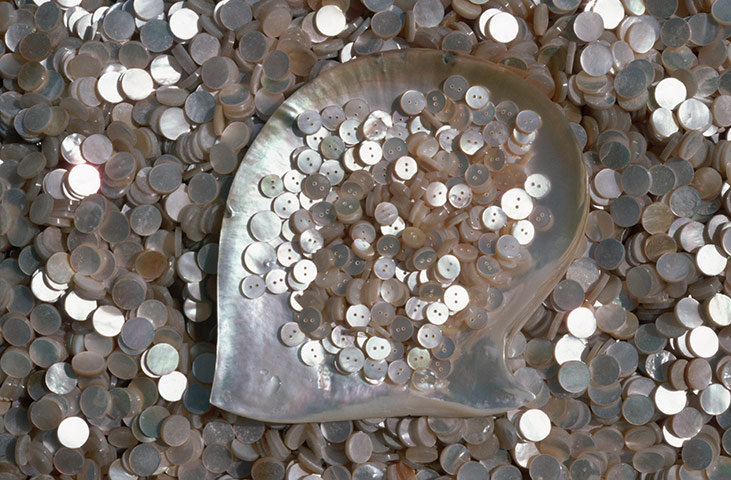 viewfinder6: buttons