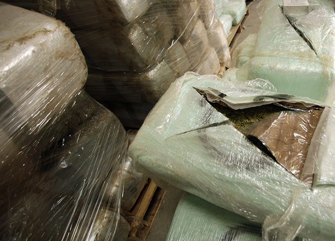 Tunnel Drug Smuggling: Marijuana seized in  at a warehouse along the border between US and Mexico