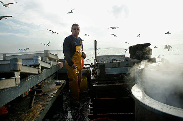 From The Agencies Furlong: Southport Shrimpers Out At The Beginning Of The Season